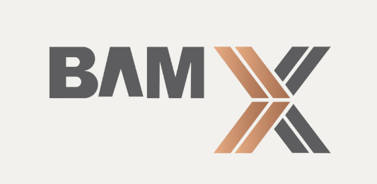 BAMX Development