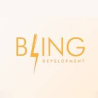 Bling Development